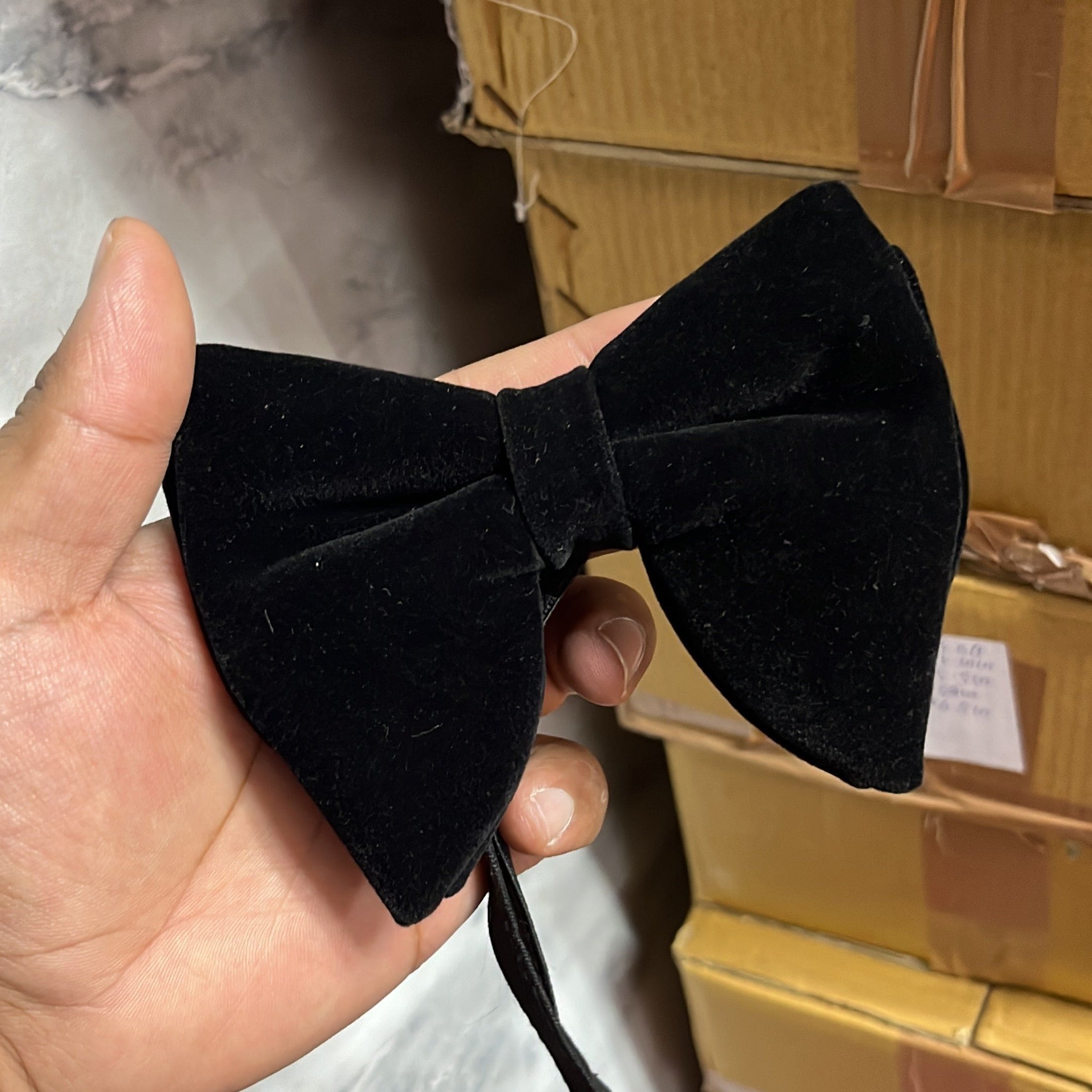 Black Velvet Solid Butterfly Double Layered Bowtie