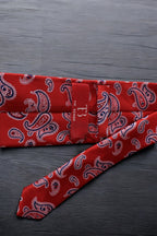 Classic Red & Blue Paisley Tie