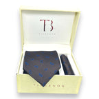 Brown And Blue Paisley Tie Combo