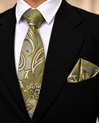 Olive Green Paisley Microsilk Tie & Pocket Square Set