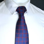 Blue and red checkered tie on a white shirt