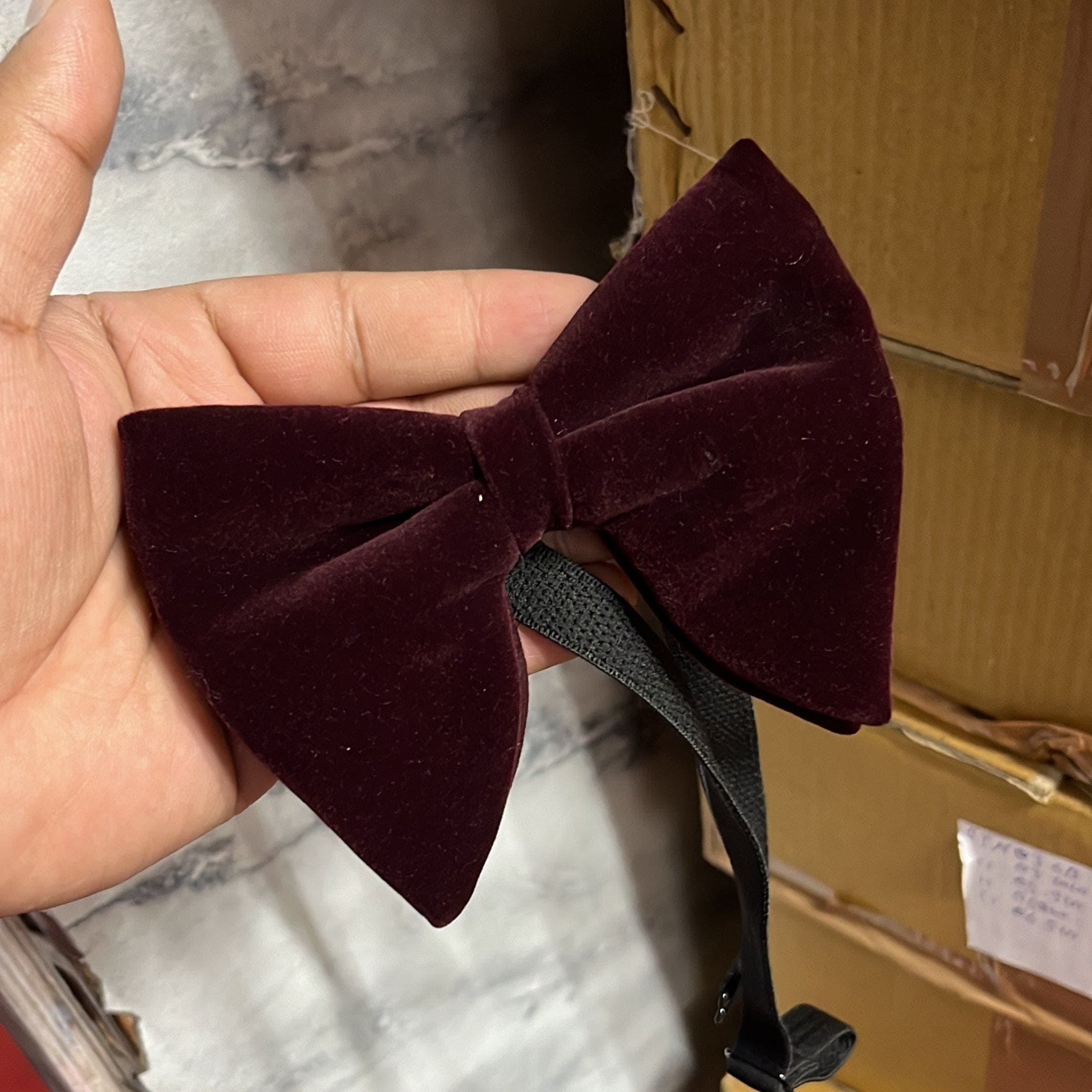 Burgundy Velvet Solid Butterfly Double Layered Bowtie