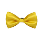 Light Yellow Solid Double Layered Bowtie