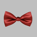 Rust Solid Double Layered Bowtie