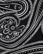 Black & Silver Paisley MicroSilk Necktie Set with Pocket Square