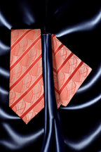 Coral & Peach Striped Necktie Gift Set
